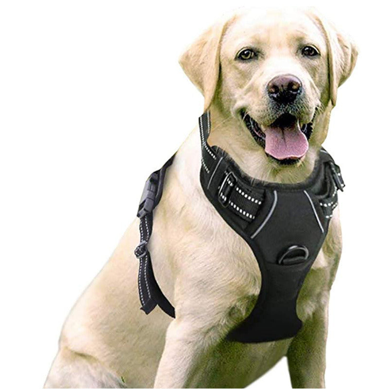 black dog harness with 2 rings to help prevent pulling with reflective details