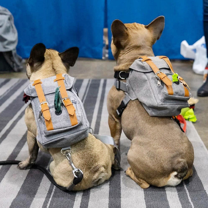 Backpack for Compact Dogs