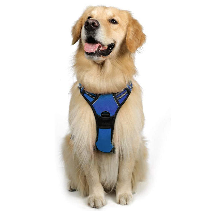 blue dog harness with 2 rings to help prevent pulling with reflective details