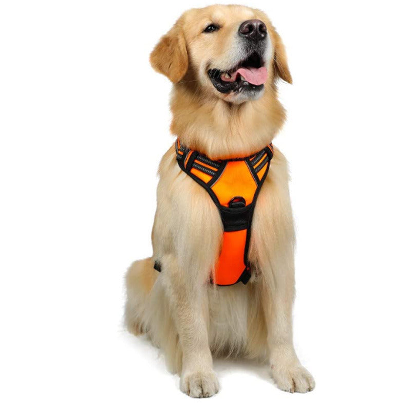 orange dog harness with 2 rings to help prevent pulling with reflective details