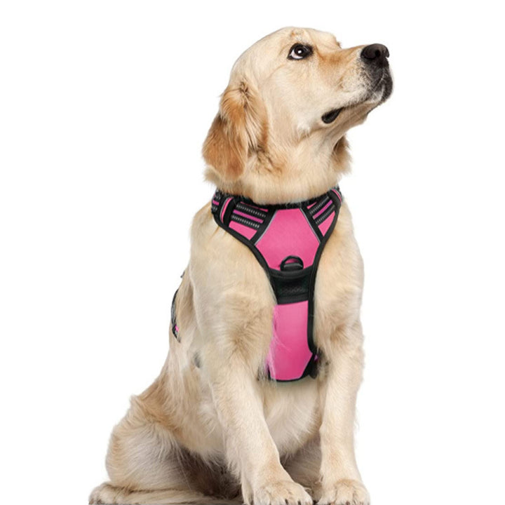 hot pink dog harness with 2 rings to help prevent pulling with reflective details